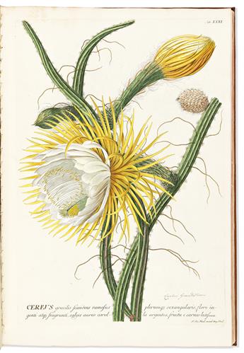 Trew, Christoph Jacob (1695-1769) Plantae Selectae quarum Imagines ad Exemplaria Naturalia.